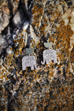 Norsuleikki, Täplä