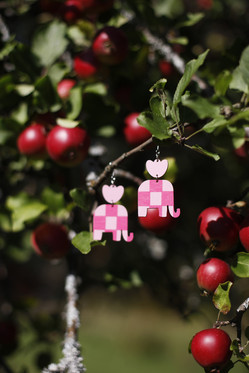 Norsuleikki, Ruutunen