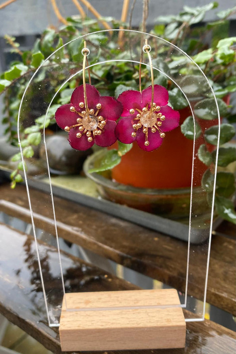 Esteri, viininpunainen