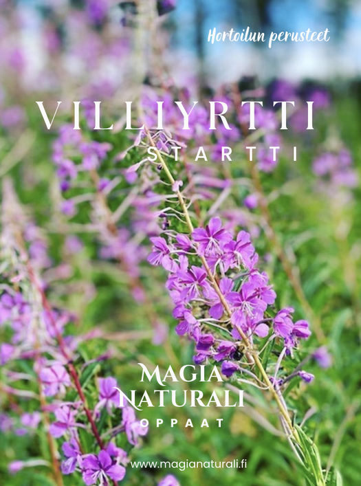 Villiyrtti startti - Hortoilun perusteet