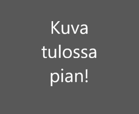 Koivuhalko 50cm, sis. kuljetusmaksun