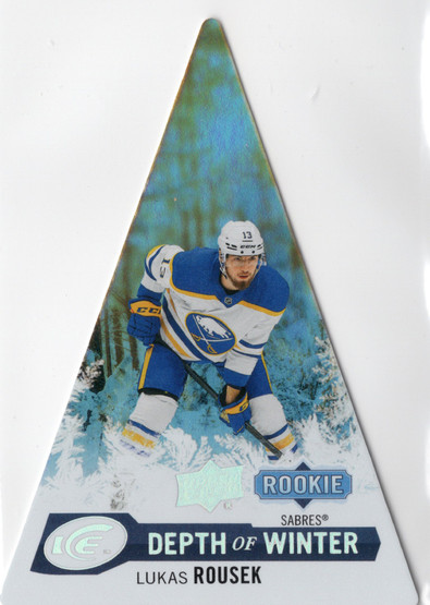 2023-24 Upper Deck Ice Depth of Winter White Frost #DW-61 Lukas Rousek SN199