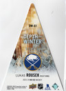 2023-24 Upper Deck Ice Depth of Winter White Frost #DW-61 Lukas Rousek SN199