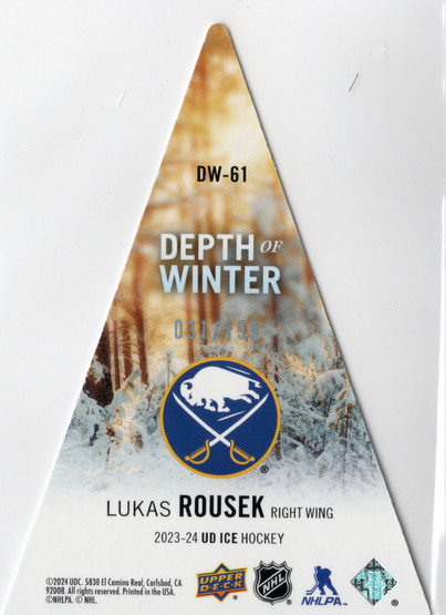 2023-24 Upper Deck Ice Depth of Winter White Frost #DW-61 Lukas Rousek SN199