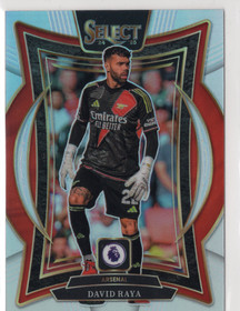 2024-25 Panini Select Premier League Silver #34 David Raya