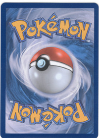 Pokemon Torkoal 069/066 (Korean) Crimson Haze Art Rare