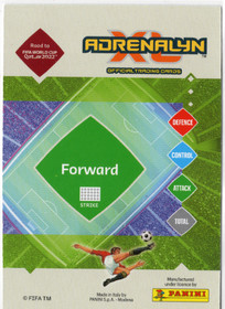 2021 Panini Adrenalyn XL Road to FIFA World Cup #2 Lionel Messi TM