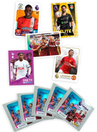 Panini Premier League 2024 Sticker Pack (Booster), 1kpl