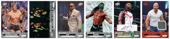 2026 Upper Deck All Elite Wrestling AEW Hobby Box