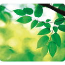 Hiirimatto Fellowes eko 229x203x2 mm kierrätysmateriaalia lehdet 