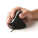 Pystyhiiri Oyster Mouse langallinen