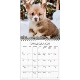 Burde Seinäkalenteri Koiranpennut 2026