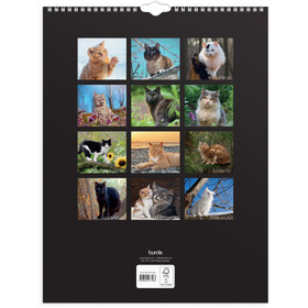 Burde Seinäkalenteri Kissat 2026