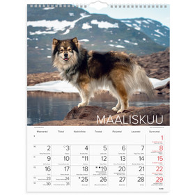 Burde Seinäkalenteri Koirat 2026