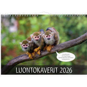 Burde Seinäkalenteri Luontokaverit 2026