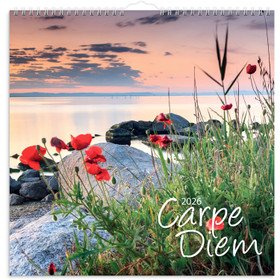 Burde Seinäkalenteri Carpe Diem 2026