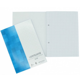 Luentolehtiö A5/100 mappirei´itys  5 kpl/pkt