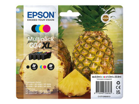 Mustesuihkuväri Epson NO. T604XL C13T10H64010 multipack