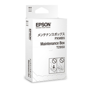 Hukkavärisäiliö Epson T2950 C13T295000 WorkForce WF-100
