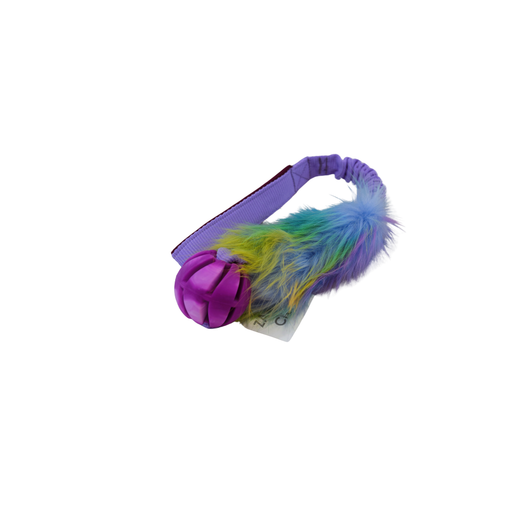 Zayma Rainbow joustolla ja pallolla