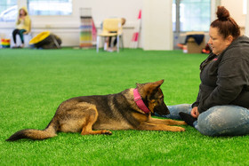 Kontaktin ja luopumisen tunnit