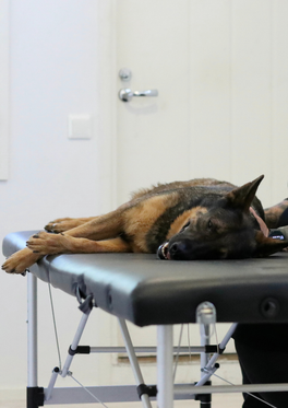 Kraniosakraaliterapia