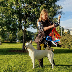 Pop Up Näyttelytreenit