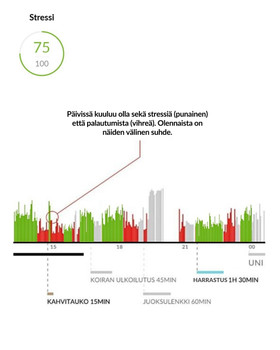 Palautumisen kartoitus ja Firstbeat Life -mittaus