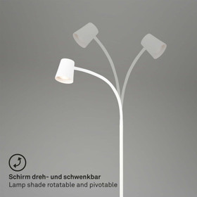 Brinoler Skriva 1476016