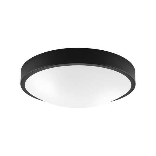 E.Lite Ember 203-02
