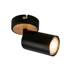 Briloner Tib 2172014