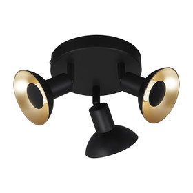 Briloner Kukui 2904-035