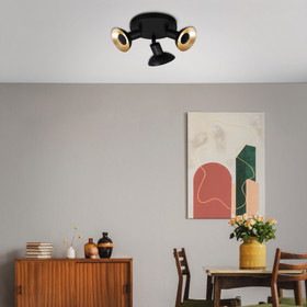 Briloner Kukui 2904-035