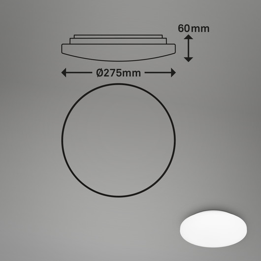 Briloner Case 3756416