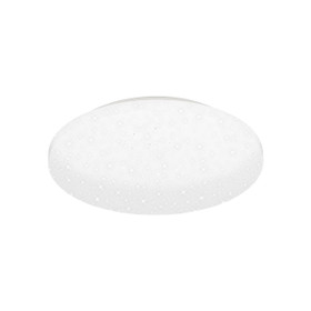 Briloner Case 3756416