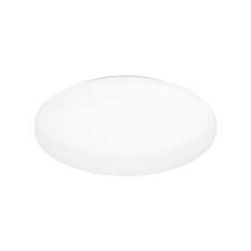 Briloner Case 3756316