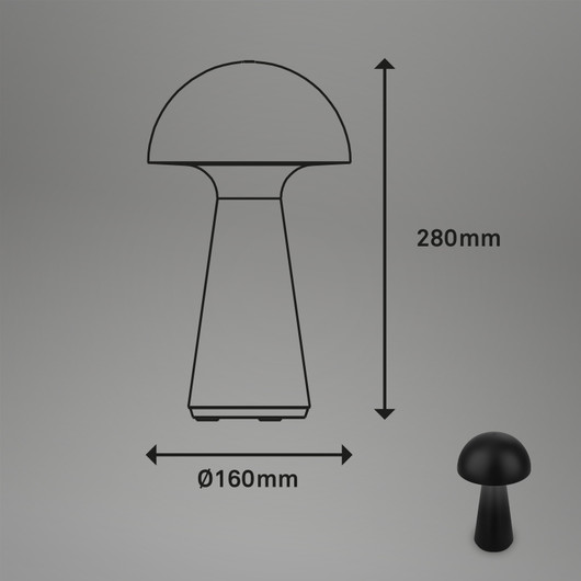 Briloner Fungo 7421015