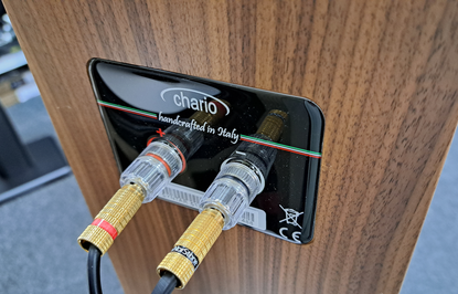 Chario Syntar 513 pähkinä esittelypari