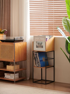 NorStone Vinyl LP Stand levyteline