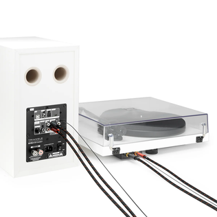 Triangle Red sarjan stereo RCA-kaapeli 3m