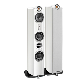 Triangle Signature DELTA kaiutinpari White High Gloss