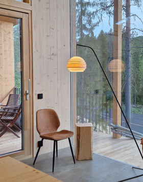 Nousu-Lattiavalaisin