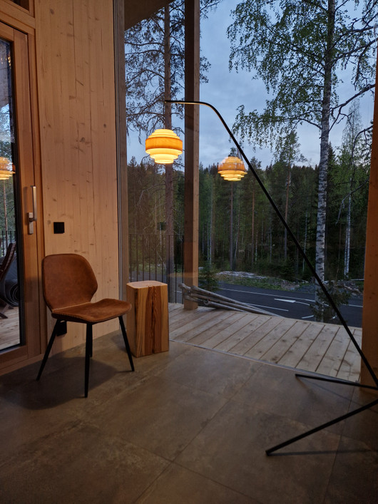 Terho-Lattiavalaisin