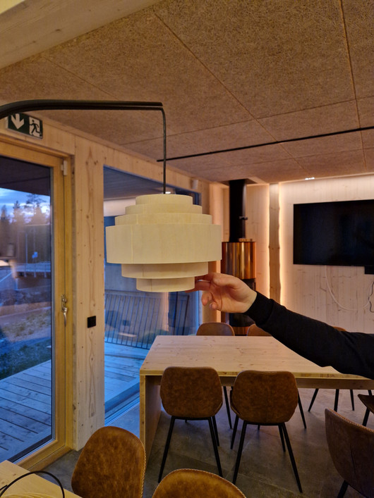 Terho-Lattiavalaisin