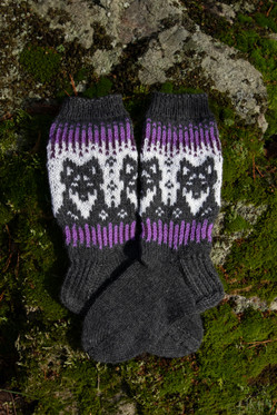 Tarkkaillen talvitöppöset