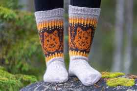 Linnustellen talvitöppöset