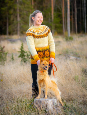 Linnustellen-talviturkki