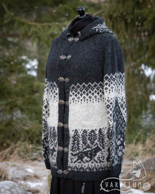 Maan korvessa kulkevi -takki