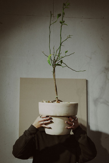 Evi sormus / Evi ring