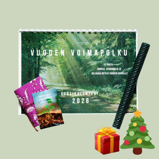 Lempeän valon vuosi  – paketti